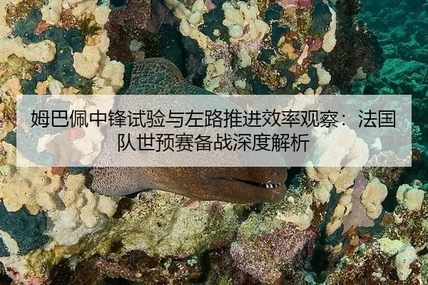 mu-ba-pei-zhong-feng-shi-yan-yu-zuo-lu-tui-jin-xiao-lv-guan-cha-fa-guo-dui-shi-yu-sai-bei-zhan-shen-du-jie-xi-2-155.jpg